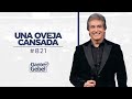 Dante Gebel #821 | Una oveja cansada