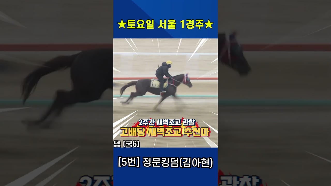 4월4일 토요일 서울 1경주!! 2주간 훈련보인 강백호의 새벽조교 쏘스마!!