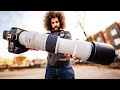 Canon rf 200800 review the ultimate budget wildlife super zoom lens