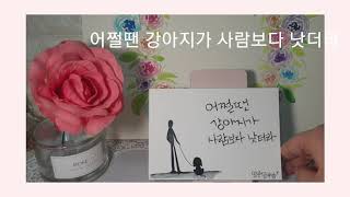 엽서캘리모음