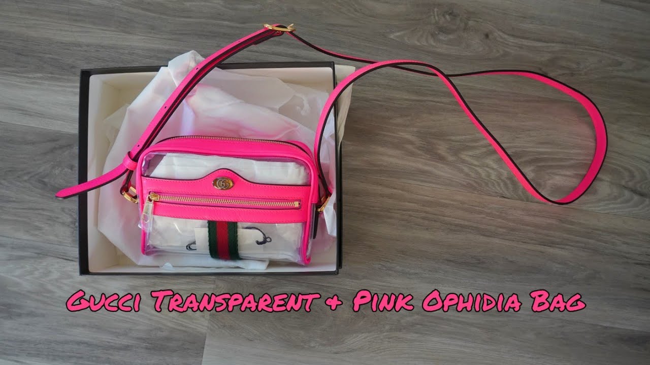 Gucci Transparent & Pink Ghost Ophidia Bag 