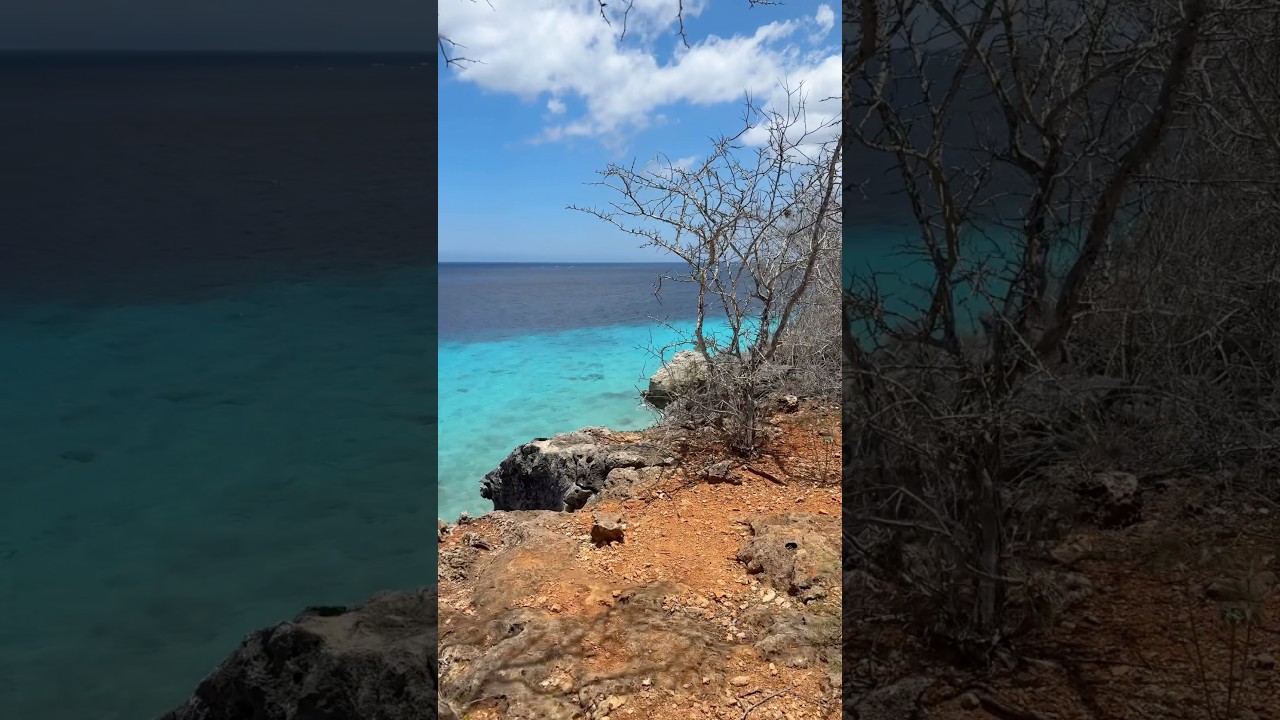 My camera roll after one week spent on Curacao 🇨🇼