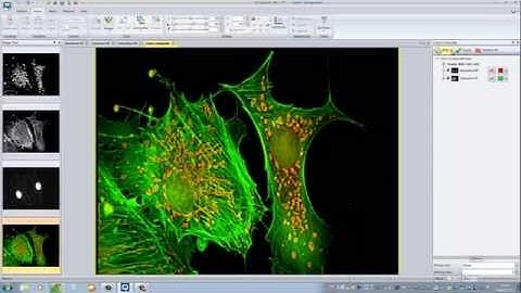 Japanese Version of QCapture Pro 7 Imaging Software: Color Merge