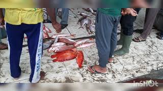 Download Lagu PPI UJUNG SERANGGA SUSOH ACEH BARAT DAYA MP3 Download Lagu PPI UJUNG SERANGGA SUSOH ACEH BARAT DAYA MP3