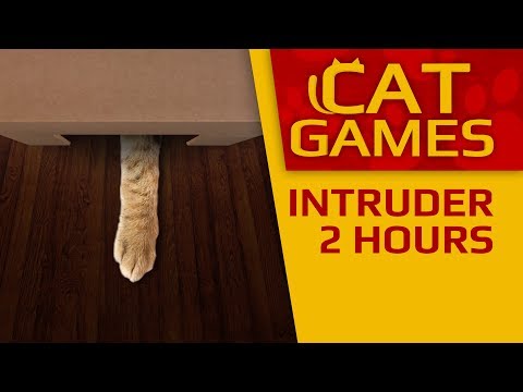CAT-GAMES---😺-INTRUDER-4K-60FPS-(VIDEOS-FOR-CATS-