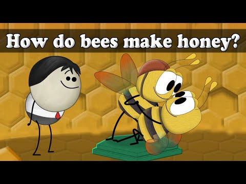 How do bees make honey? | #aumsum #kids #science #education #children