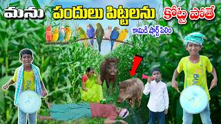 పందులు పిట్టలను కొట్టా పోతే || Pigs Pittalanu KOTTA POTHE || Manu Videos || Telugu Letest All 