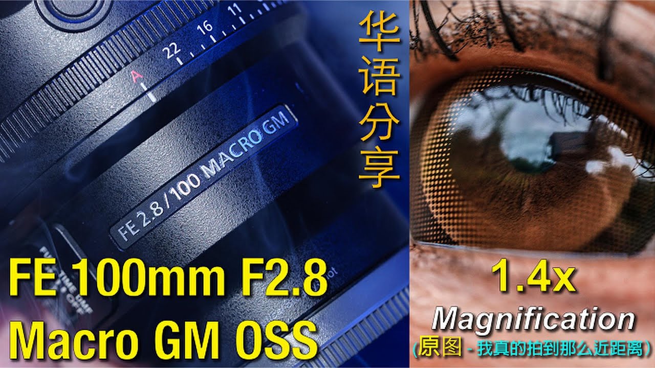 Sony FE 100mm F2.8 Macro GM OSS | 索尼全新的MACRO镜头在历史上第一个支持 Teleconverter 的镜头还带对焦 AF |  华语分享 (Eng SUB)