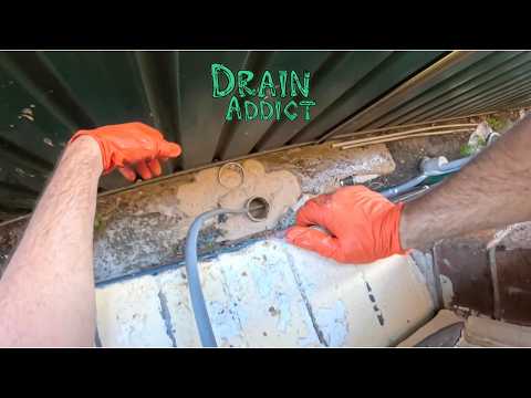 Blocked Drain 1234