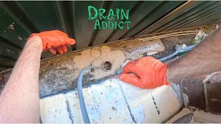 Blocked Drain 1234