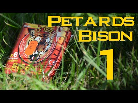 PETARDS A MECHES LE TIGRE BISON 1