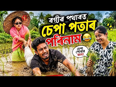 বগীৰ পথাৰত চেপা পতাৰ পৰিনাম😆