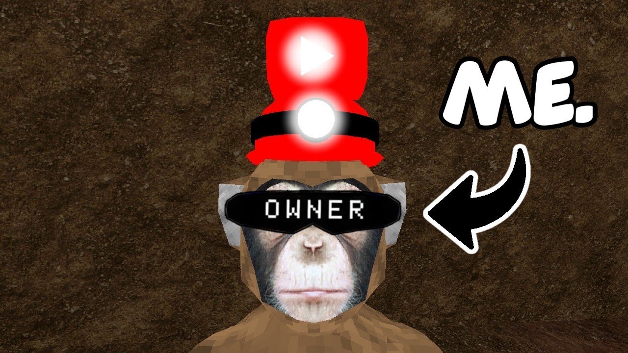 I Became The Owner...