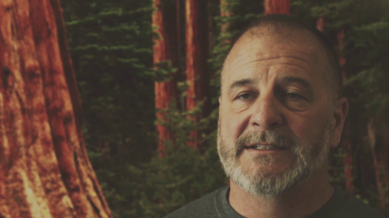 Akron's Best Gym - Big Tree Fitness