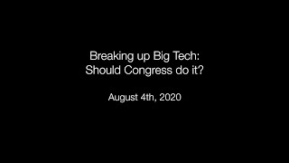 Famous Breaking up Big Tech: Should Congress do it? Net Worth