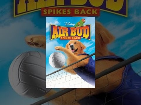 Air Bud: Spikes Back