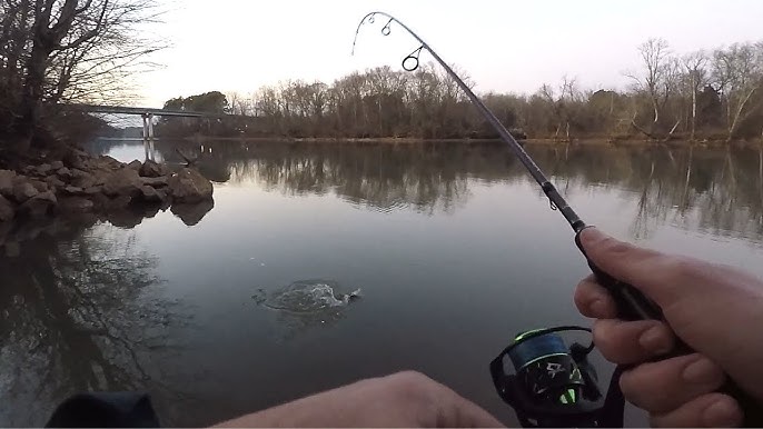 Piscifun Viper X Spinning Reel Review - Wired2Fish