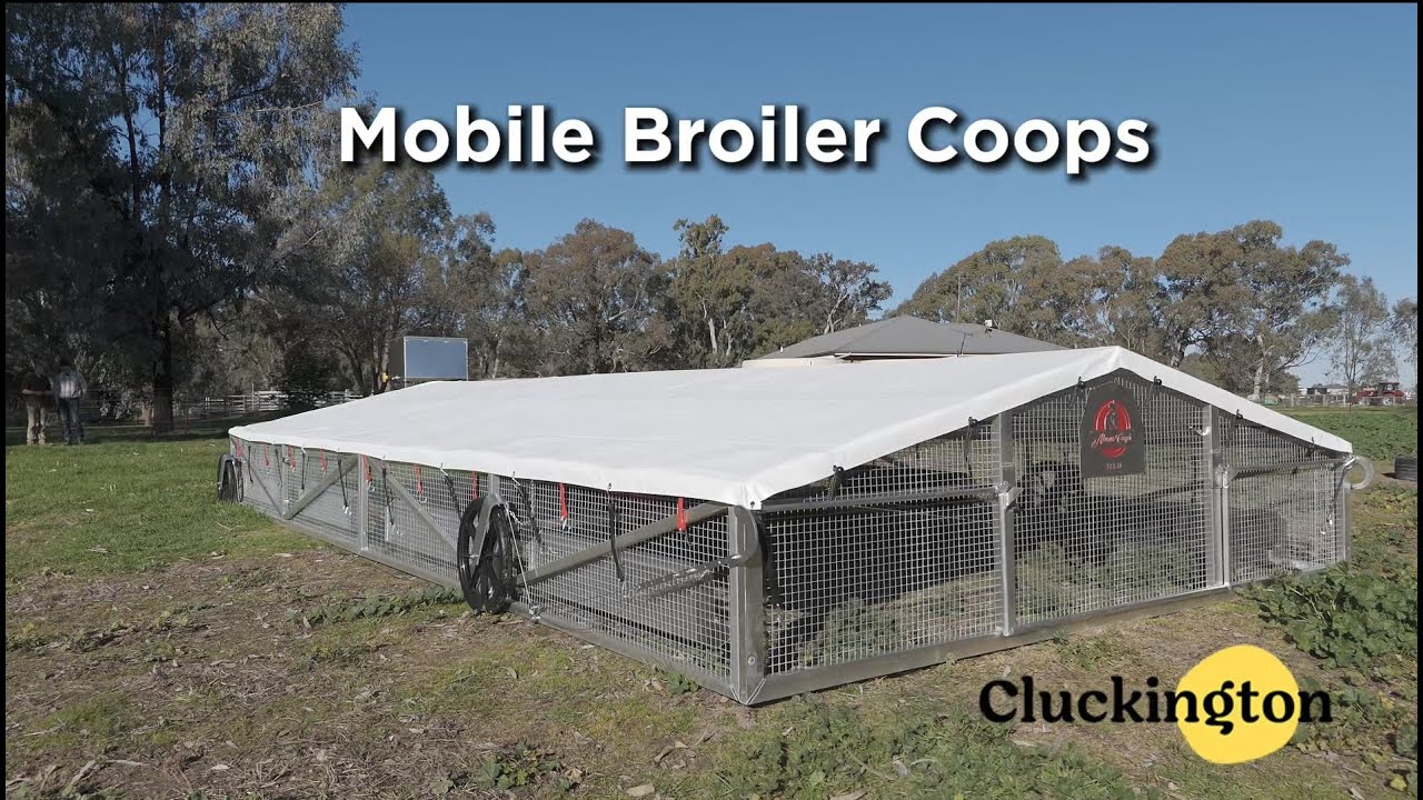 Commercial Farming Chicken Tractors by Cluckington
