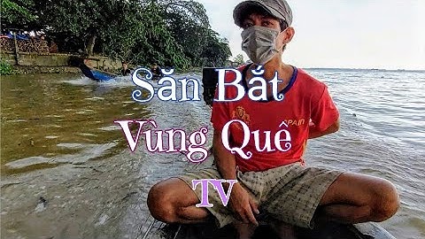 CÂU CÁ NGÁT TREO TRÊN SÔNG VÀM CẦU HÀM LUÔNG #1