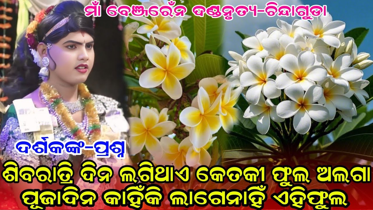 ଶିବରାତ୍ରିଦିନ ଲଗିଥାଏ କେତକୀଫୁଲ ଅଲଗାପୂଜାରେ କାହିଁକି Maa Benjaren danda nurty chindaguda @RupeshMedia1 