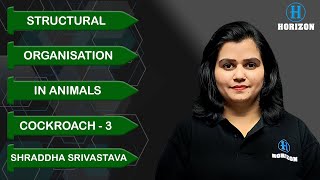 Cockroach Part-3 | Structural Organisation in Animals | Shraddha Mam | Horizon Academy