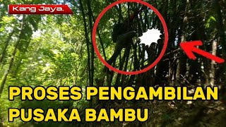 Download Lagu @Penemuan !! pusaka bambu sakti nusantara. MP3