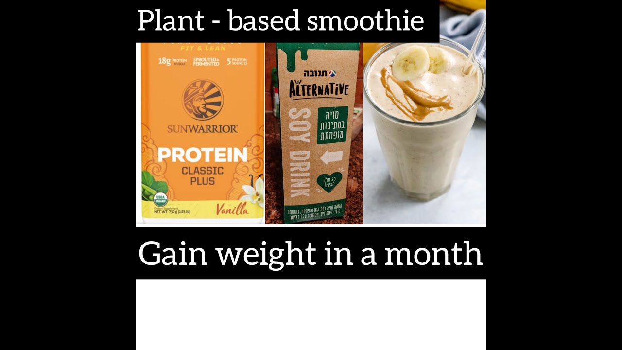 SUNWARRIOR PLANT-BASED PROTEIN POWDER FOR WEIGHT AND MUSCLE GAIN(classic Plus vanilla)