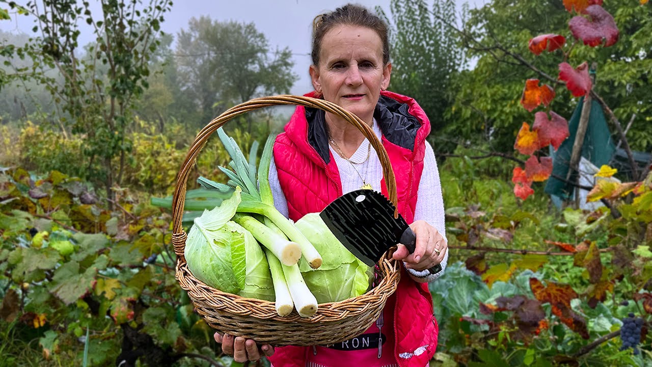 Traditional Albanian Dollma & Leek Pie 🏡🥬 – A True Village Feast! 🇦🇱❤️