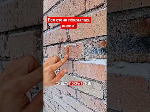 Теплоемкость и энергоэффективность.. что из этого про экономию?? #домподключ #строимдом #двойнойбрус