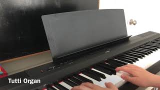 Yamaha P-125 Digital Piano - Sound Demo - 2020