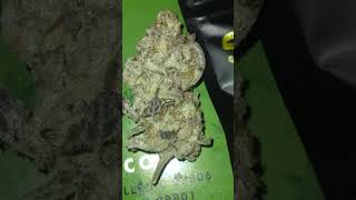Quick UPSTATE HEMP CO & THE MAD SKUNK Haul | UPSTATE IS MY FAVE atm I think 