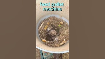 High-Performance Poultry Feed Pellet Machine | 400-500 kg/h#livestockfeed #farm #farmmachinery