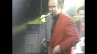 The Fabulous Thunderbirds - She's tuff