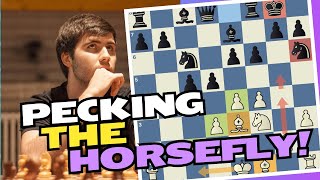 Birds Opening | The Horsefly defence gets PEKT