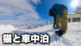 Winter car camping with catsAltitude 1,502m! Sunny snowboarding camp