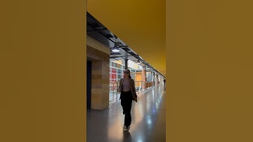 Life of a Frontend  developer    #coding #shorts