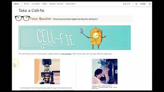 Module 4 Lesson 2 Reading
