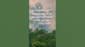 لاتنسي الدعاء لاهلنا فئ فلسطين #قرآن #المصحف #محمد #رسول_الله #اطمئن#القارئ #غزة #فلسطين_حرة#فلسطين