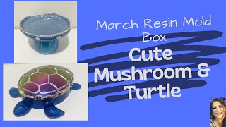 Super Cute Resin Mushroom & Turtle Jar: March Resin Mold Box