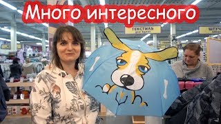 VLOG Будем ли мы переезжать. Выбираем Насте машину