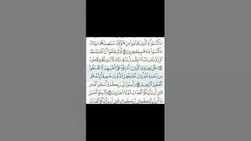 سورة الزمر - الأية 53 . ياسر الدوسري