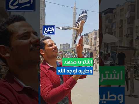 الشارع الراحمون يرحمهم الله شاب بيشتري الهدهد من سوق الجمعة ويطيره لوجه الله