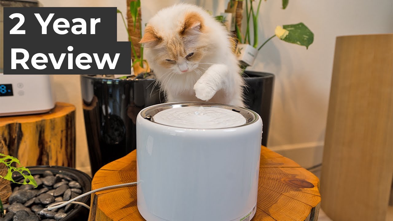 PETKIT Eversweet Pro 3 Wireless Water Fountain Review | The Cat