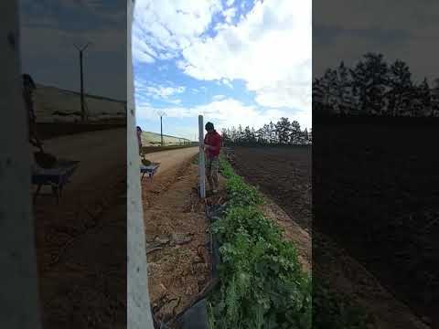 تسييج سياج الاراضي الفلاحية تركيب السياج الكرياج    