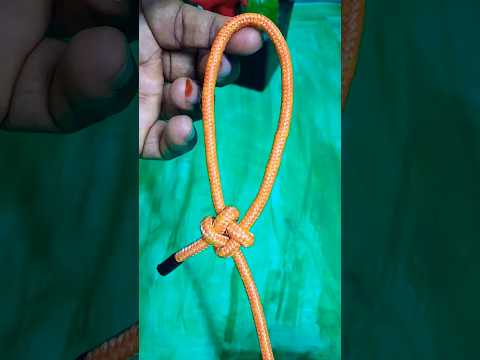 The Square Knot