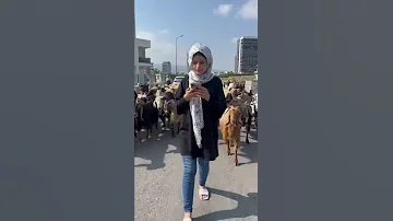 اسواء حظ في العالم ام سيف نانو جيفارا العلي Shorts 