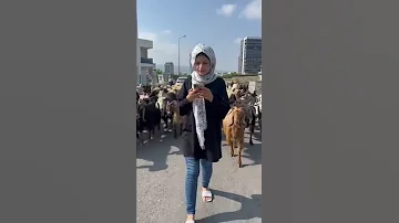 اسواء حظ في العالم ام سيف نانو جيفارا العلي Shorts 