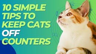 😻 10 Simple Tips To Keep Cats Off Counters 💯😸 by FurrPawz 2,845 views 1 year ago 7 minutes, 5 seconds