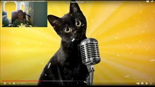 Konuşan Kedi̇ler 22