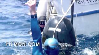 Action Emotions By Trygons